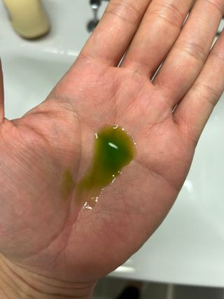 로아님이 올린 리뷰 사진 4