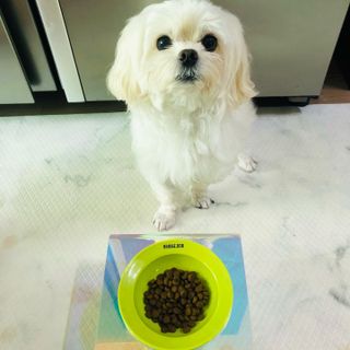 뱁새♥︎님이 올린 리뷰 사진 3