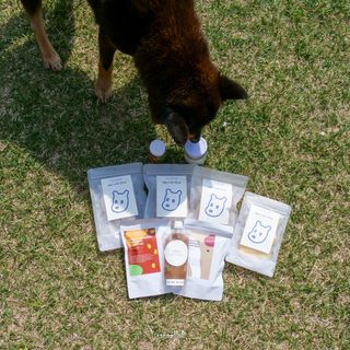 사나님이 올린 리뷰 사진 2