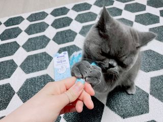 sehee님이 올린 리뷰 사진 4