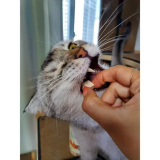 으하하하하님이 올린 리뷰 사진 3