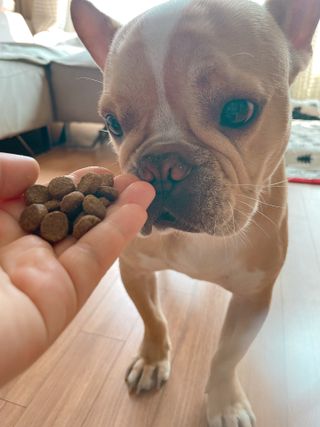 이은향님이 올린 리뷰 사진 2