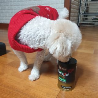 민동2님이 올린 리뷰 사진 4