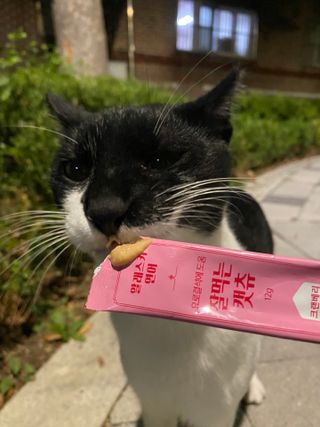 클로버님이 올린 리뷰 사진 2