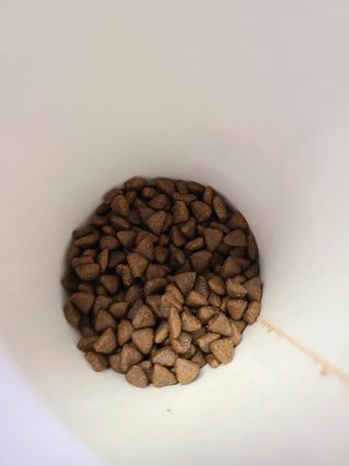 글라라5205님이 올린 리뷰 사진 2