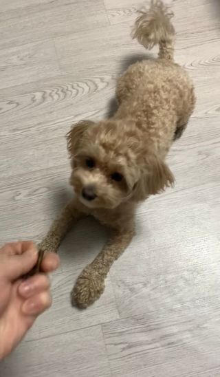 해니님이 올린 리뷰 사진 1