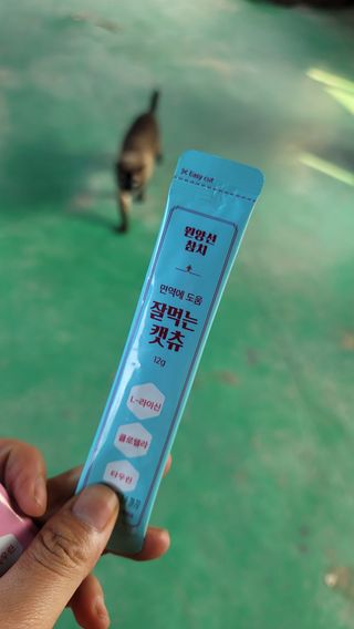 페페로니 잘 먹는 캣츄 - 원양선 참치 24개입 — 5점을 준 리뷰어가 2021년 7월 올린 사용 사진