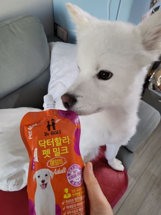 kay님이 올린 리뷰 사진 2