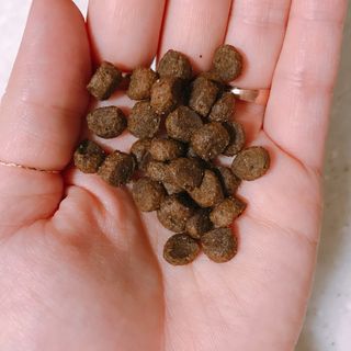 Hpy님이 올린 리뷰 사진 2