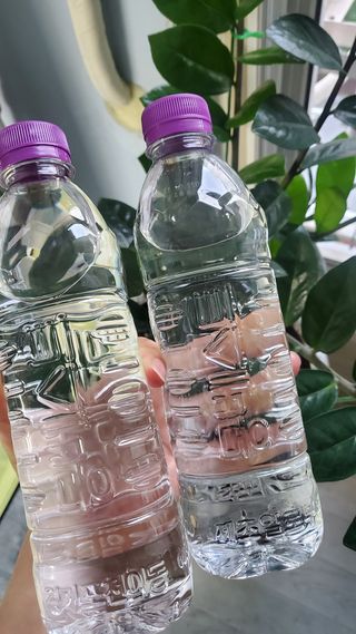 몽베스트 [MONTBEST]위드어스 500mL 20병 — 5점을 준 리뷰어가 2022년 8월 올린 사용 사진