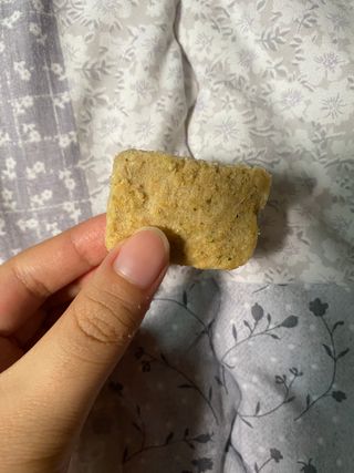 펫에이블 데일리바이트 키토 [비프], [치킨] — 5점을 준 리뷰어가 2021년 8월 올린 사용 사진