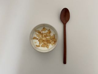 아비삭과일칩 5종 /딸기,사과,배,귤,무화과 5종 — 5점을 준 리뷰어가 2021년 5월 올린 사용 사진