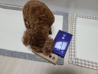 베이컨박스 [BACON] 고아웃클럽 이지그립 리드줄, 목줄 세트-BLUE — 3점을 준 리뷰어가 2021년 7월 올린 사용 사진