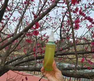 스킨큐어 산다화 순한 클렌징 동백 오일 200ml — 5점을 준 리뷰어가 2023년 3월 올린 사용 사진