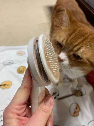 선짱님이 올린 리뷰 사진 2