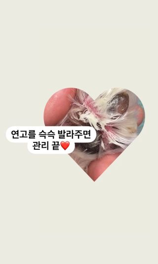 𝒄𝒉𝒂𝒓𝒎𝒊𝒏𝒈님이 올린 리뷰 사진 4