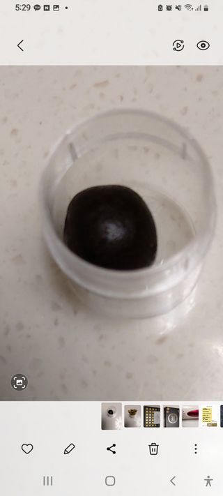 복도리님이 올린 리뷰 사진 4