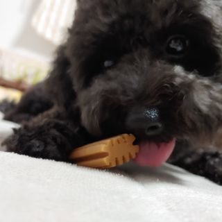 apple님이 올린 리뷰 사진 4