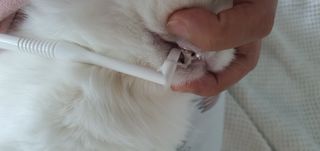 HarinKim님이 올린 리뷰 사진 3