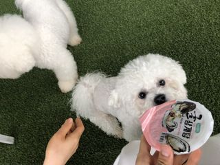 하시모님이 올린 리뷰 사진 1