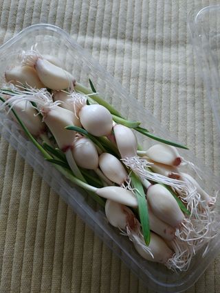 람보슈터님이 올린 리뷰 사진 2