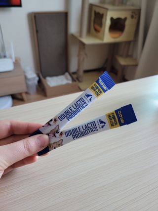 씨디랩 구강에서 장까지 한 번에 관리하는 더블락토 강아지 고양이 유산균 — 5점을 준 리뷰어가 2021년 6월 올린 사용 사진