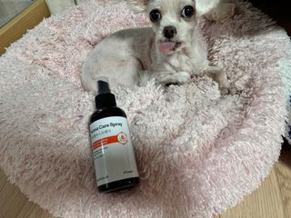 비비님이 올린 리뷰 사진 3