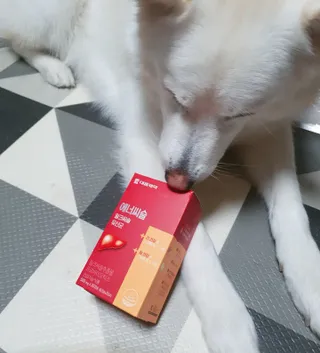 딸랑구둘🥰님이 올린 리뷰 사진 2
