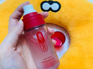 레드투래드 안티더스트 배리어 미스트 55ml — 5점을 준 리뷰어가 2021년 8월 올린 사용 사진