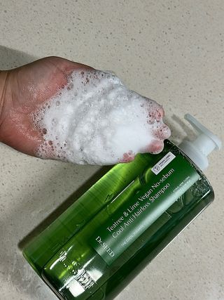 닥터시드 티트리 앤 라임 비건 지성케어 쿨 탈모 샴푸 (1000ml) — 5점을 준 리뷰어가 2023년 12월 올린 사용 사진