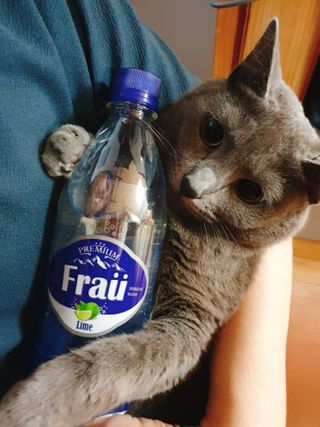 쿠로님이 올린 리뷰 사진 3