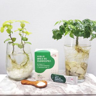 바이탈스푼덴마크BG프로바이오틱스 — 5점을 준 리뷰어가 2021년 6월 올린 사용 사진
