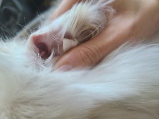 유화님이 올린 리뷰 사진 3