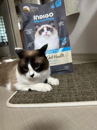 예지님이 올린 리뷰 사진 2