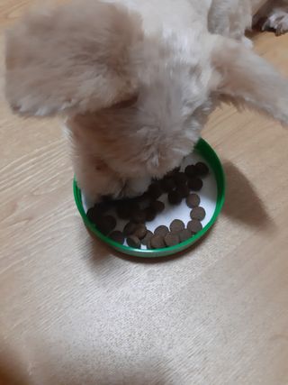 moomoon님이 올린 리뷰 사진 3