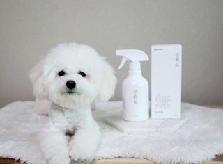 비니주니맘 :D님이 올린 리뷰 사진 2
