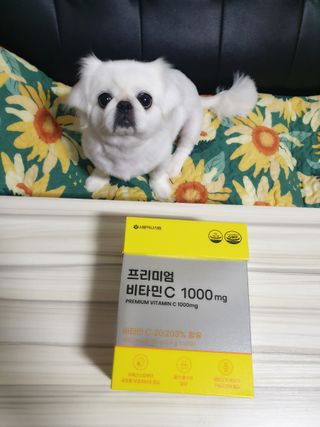 서울약사신협 프리미엄 비타민C 1,000mg_2.5g x 50포 — 5점을 준 리뷰어가 2021년 10월 올린 사용 사진