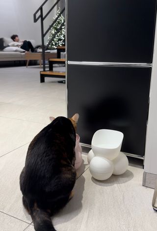 꿈꾸는율님이 올린 리뷰 사진 2