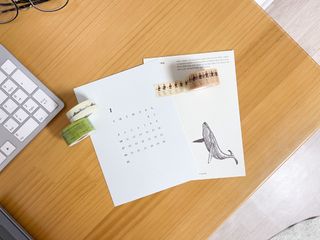 콜린스 2021 엽서 캘린더와 마스킹 테이프 3종 — 3점을 준 리뷰어가 2020년 12월 올린 사용 사진
