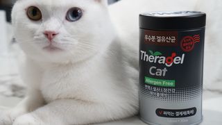 도르방구님이 올린 리뷰 사진 2