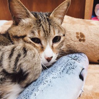 Naimy님이 올린 리뷰 사진 4