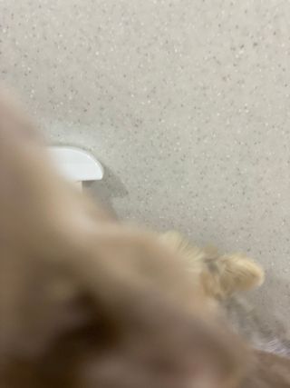 정봐기린님이 올린 리뷰 사진 3