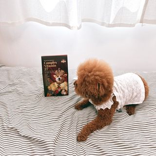 조이님이 올린 리뷰 사진 2