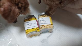 페페로니 진짜 프리바이오틱스 치즈+치즈고구마 180g+180g — 5점을 준 리뷰어가 2021년 7월 올린 사용 사진