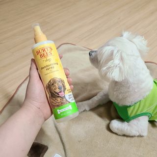 슝늉님이 올린 리뷰 사진 1