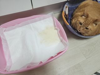 솔탄이love님이 올린 리뷰 사진 2