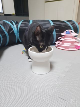 김금비님이 올린 리뷰 사진 4