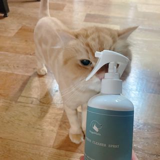 나르미르님이 올린 리뷰 사진 2