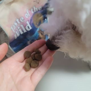 ❤꼬네우니🧡님이 올린 리뷰 사진 2