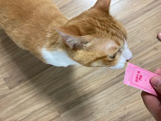 페페로니 잘 먹는 캣츄 - 알래스카 연어 24개입 — 3.5점을 준 리뷰어가 2021년 7월 올린 사용 사진